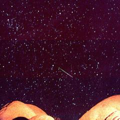 Leonids 1998: A Safe Meteor Storm