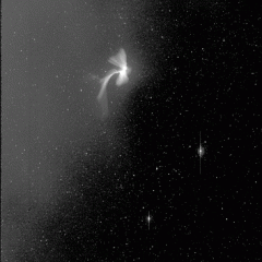 A Leonid Meteor Explodes