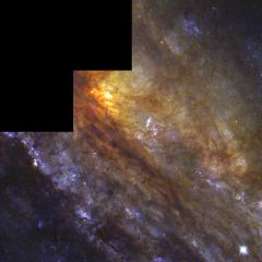 NGC 253: The Sculptor Galaxy