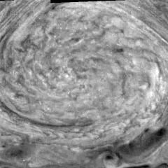 A New Jupiter Oval Rotates