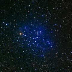 M6: The Butterfly Cluster