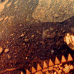 A Venus Landing