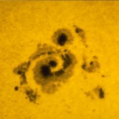 Spiral Sunspot