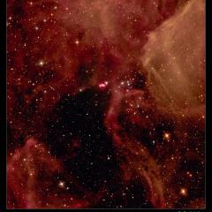 A Supernova Starfield