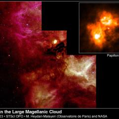 N159 and the Papillon Nebula