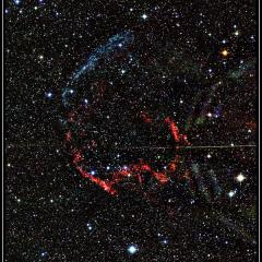 Galactic Supernova Remnant IC 443