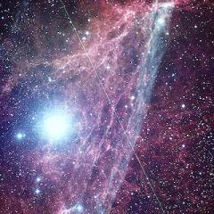 The Vela Supernova Remnant Expands
