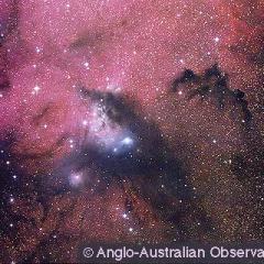Reflections on NGC 6188
