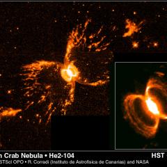 Symbiotic Star Bubbles