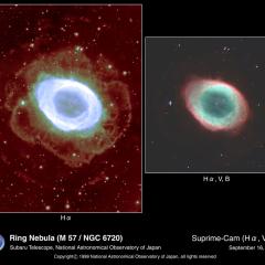 Halos Around the Ring Nebula