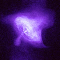 The Crab Nebula in X Rays
