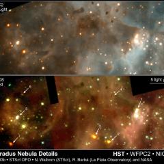 New Stars In 30 Doradus