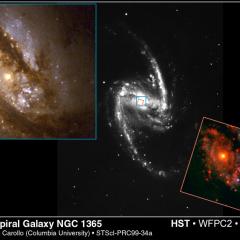 NGC 1365: Barred Spiral Galaxy