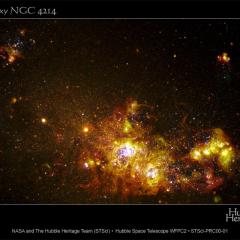 NGC 4214: Star Forming Galaxy