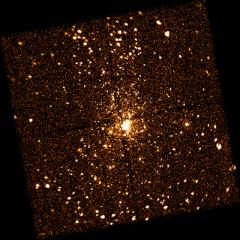 X-Ray Stars Of Orion