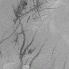 Martian Dust Devil Trails