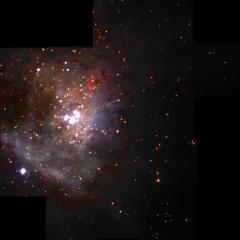 Free Floating Planets In Orion
