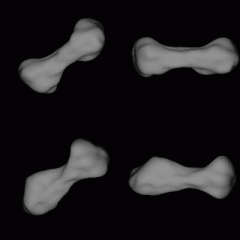 Dog-Bone Shaped Asteroid 216 Kleopatra