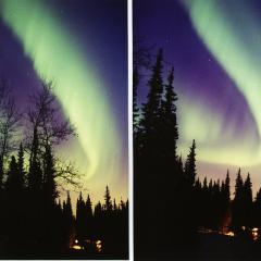 An Aurora Before the Storm