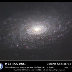 M63: The Sunflower Galaxy