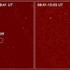 LP 944-20: A Failed Star Flares
