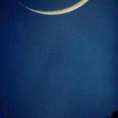 Moon And Venus Share The Sky