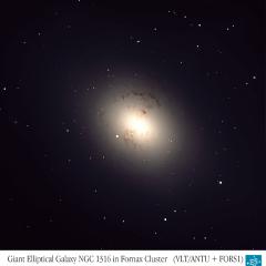 Unusual Giant Galaxy NGC 1316