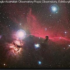 Orion’s Horsehead Nebula
