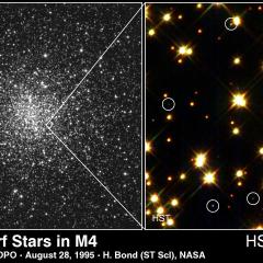 White Dwarf Stars Cool