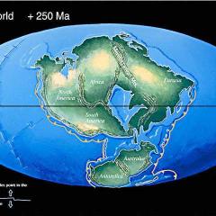 Pangea Ultima: Earth in 250 Million Years