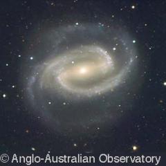 Barred Spiral Galaxy NGC 1300