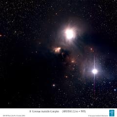 Dust and Gas Surrounding Star R Coronae Australis