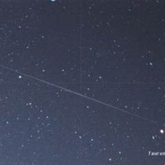 Long Leonid