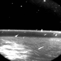 Leonids from Orbit