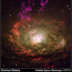 The Circinus Galaxy