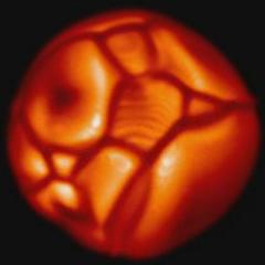 Simulated Supergiant Star