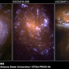Spiral Galaxy NGC 3310 in Ultraviolet