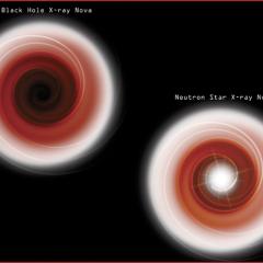 Black Holes Are Black