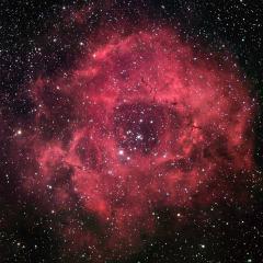 The Rosette Nebula
