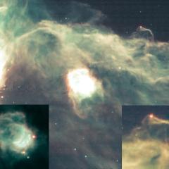 Infrared Horsehead