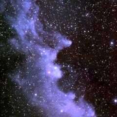 The Witch Head Nebula