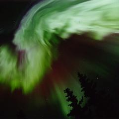 Aurora Alaskan Style