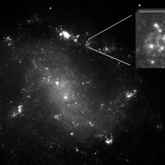 ESO 184-G82: Supernova – Gamma Ray Burst Connection