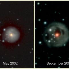 V838 Mon: Mystery Star