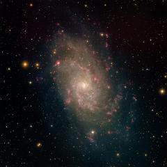 Nearby Spiral M33