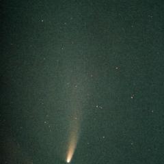 Comet NEAT in Southern Skies