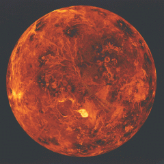 The North Pole of Venus