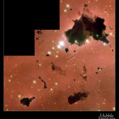 Thackeray’s Globules