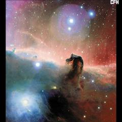 The Colorful Horsehead Nebula
