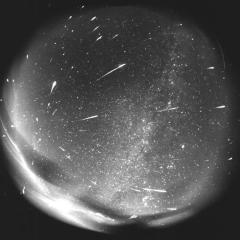 Leonids from Leo